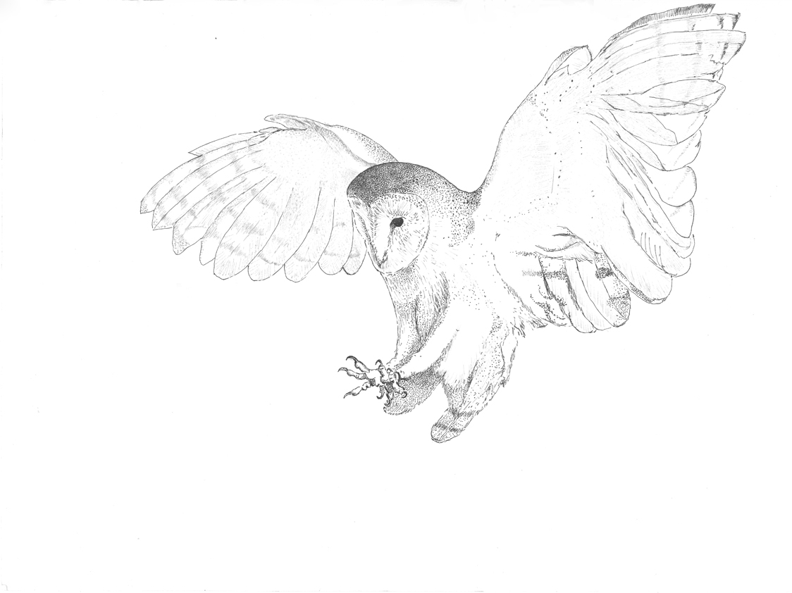 1124x842 Ethan Pennellpen Amp Ink