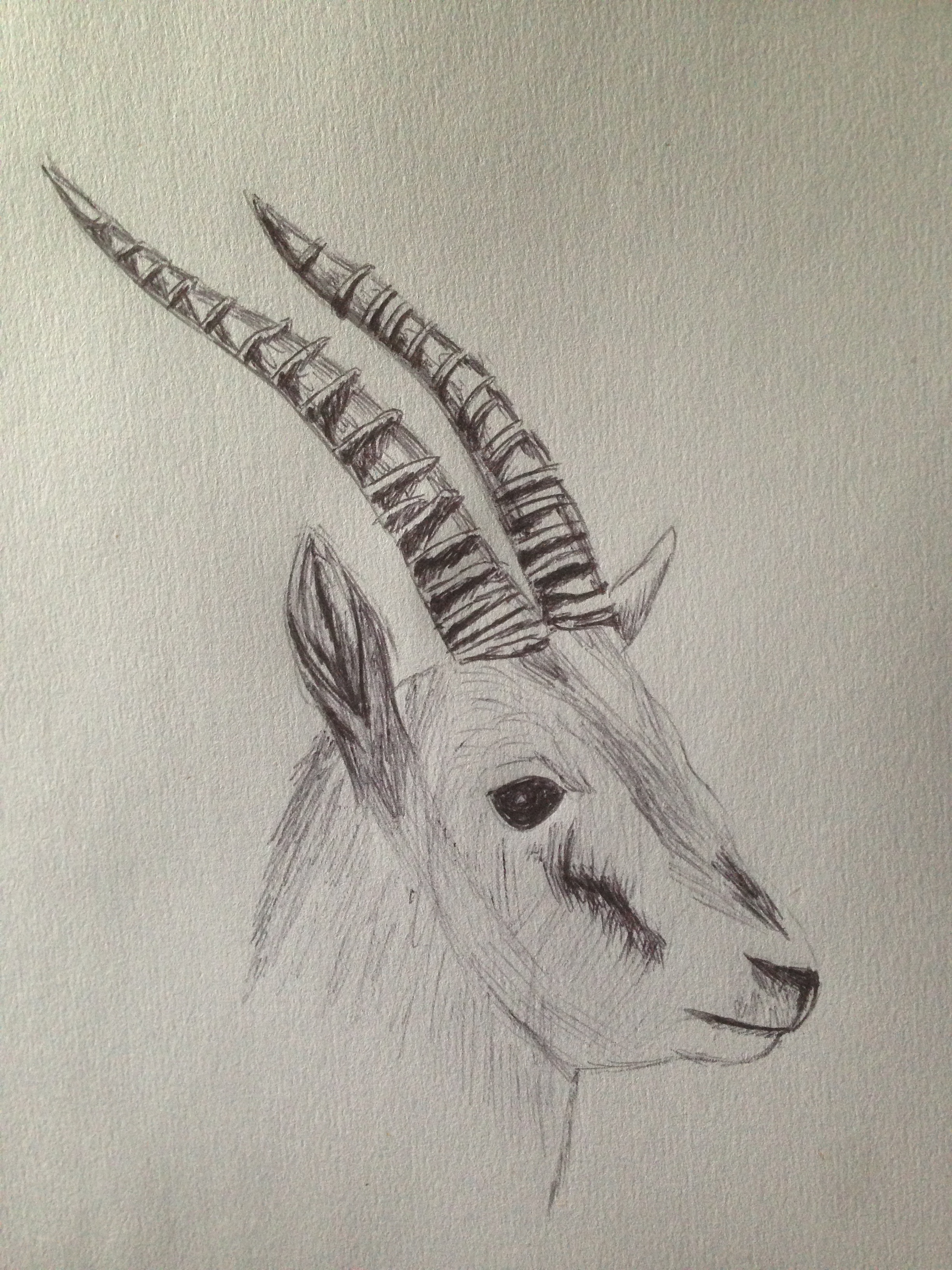 2448x3264 Simple Pen Drawing Photos Drawing Simple Pen,