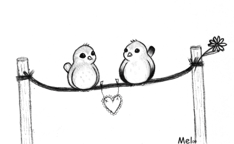 800x495 Gallery Love Birds Sketch Image,