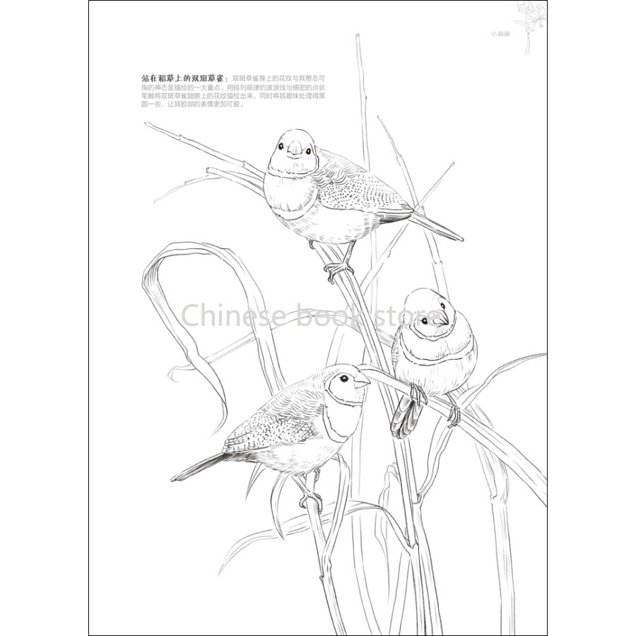 900x900 Pencil Line Painting Textbooks Drawing Flower And Bird Chinese