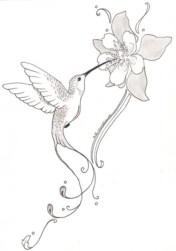Pencil Drawing Of Flowers And Birds at GetDrawings Free download