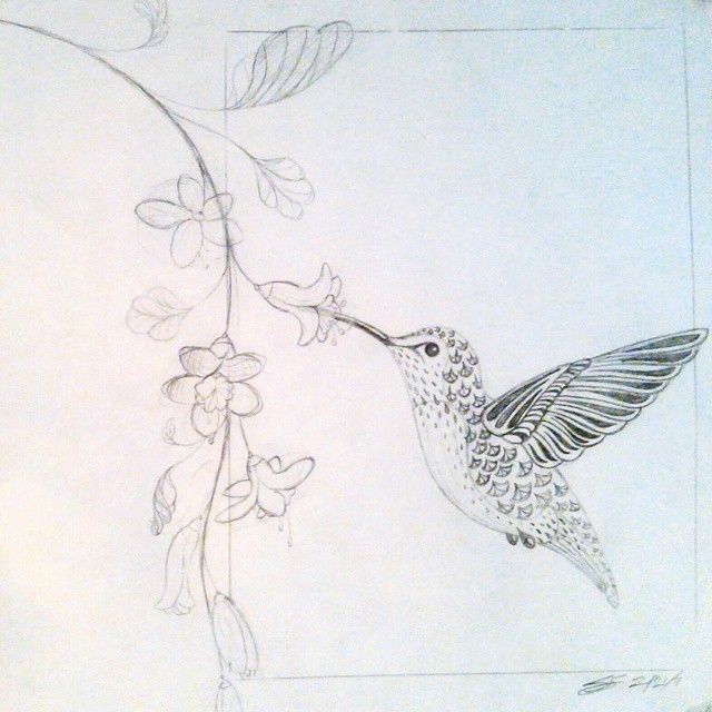 640x640 Stylized Drawing Of A Hummingbird Drinking From Flowers That I Did