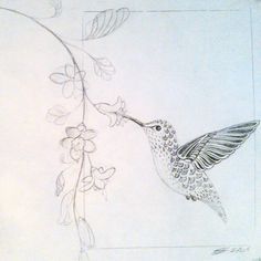 236x236 Stylized Drawing Of A Hummingbird Drinking From Flowers. Pencil