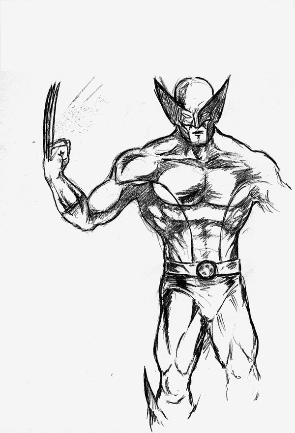 600x881 Wolverine Pencil Sketch By Andrewhobart