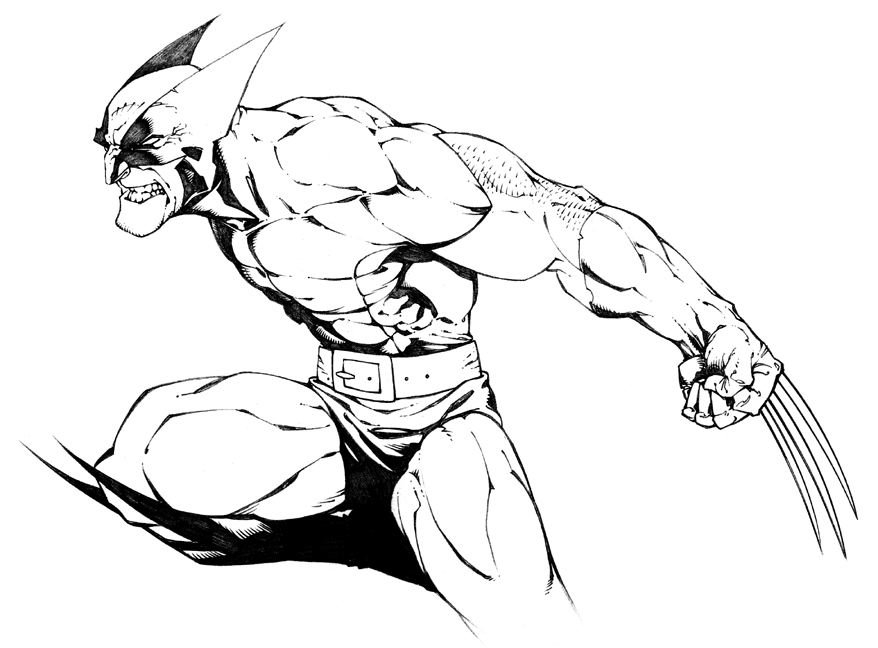 878x648 Wolverine In Pencil, In Brad Green's Random Stuff Comic Art