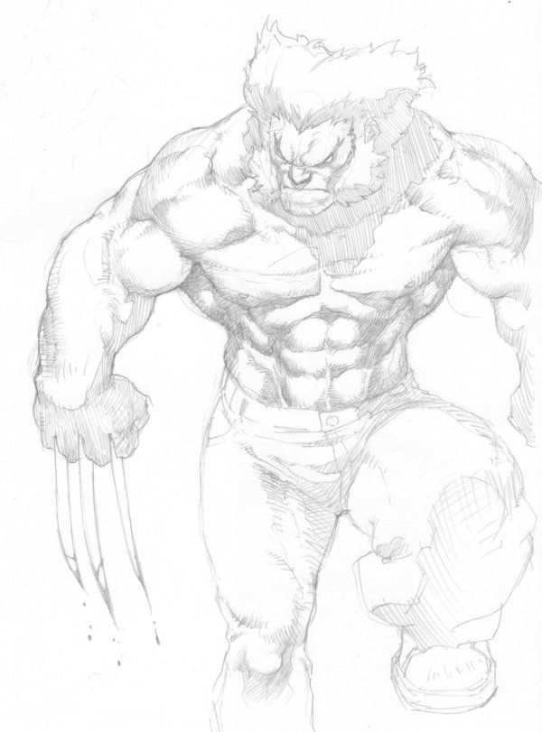 600x811 Another Wolverine By On @