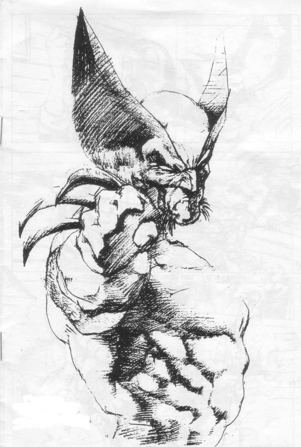 600x892 30 Wolverine Cartoon Character Sketches