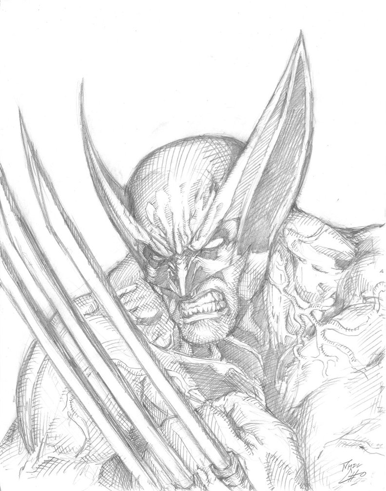 792x1008 Bcc 2013 Wolverine Drawing By Phil Cho
