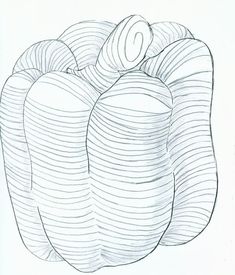 235x275 Easy Pencil Shading Drawings Of Fruits Complete Drawing Tutorial