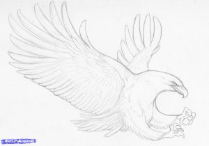300x210 Pencil Shading Birds And Animals
