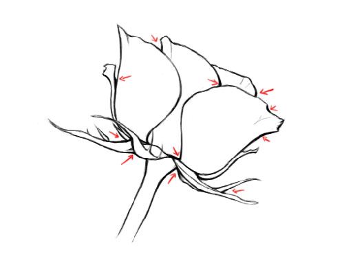 497x383 30 Best Art Drawing And Sketching Images On Drawing