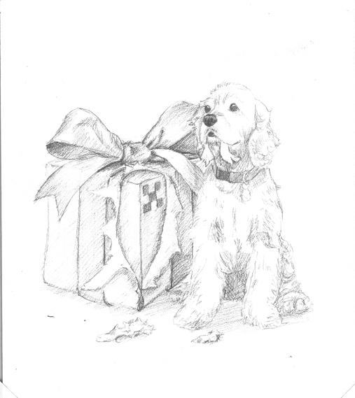 507x569 Pictures Christmas Sketches In Pencil,
