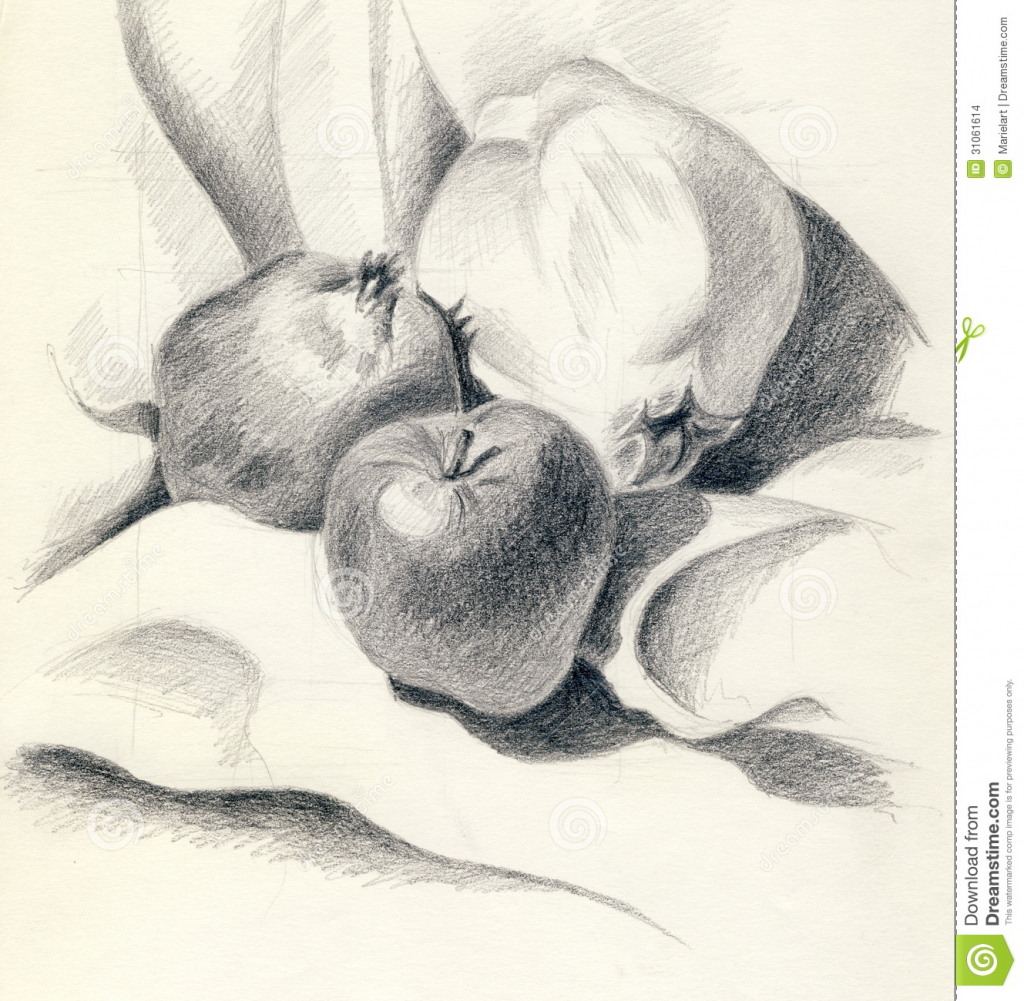 1024x1001 Pencil Sketch Drawing Of Fruits Pictures Easy Pencil Shading