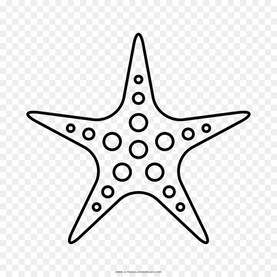 900x900 Starfish Foucault Pendulum Drawing Clip Art