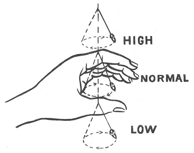 765x605 Elementary Radiesthesia Blood Pressure Testing With Pendulum