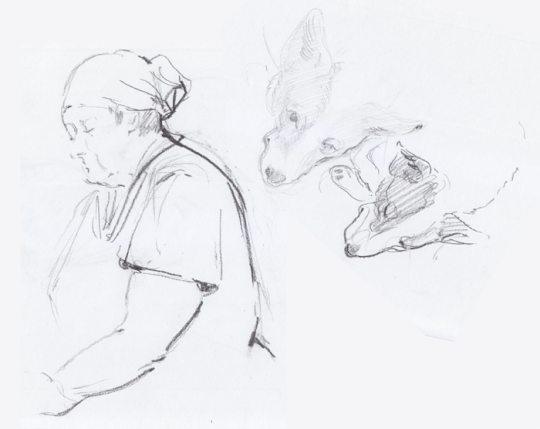 540x429 Perch Fish Tumblr