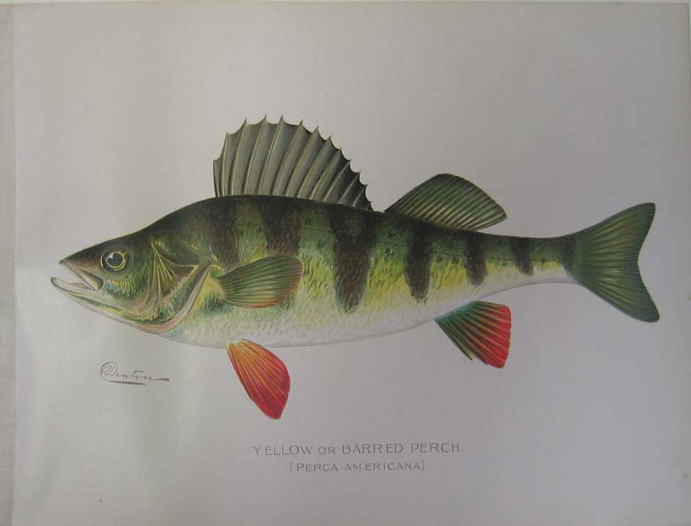 969x738 Prints Old Amp Rare