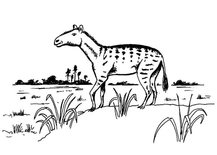 700x500 Tertiary Period Art Fine Art America