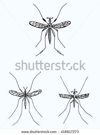 351x470 Drawn Mosquito Insect Art