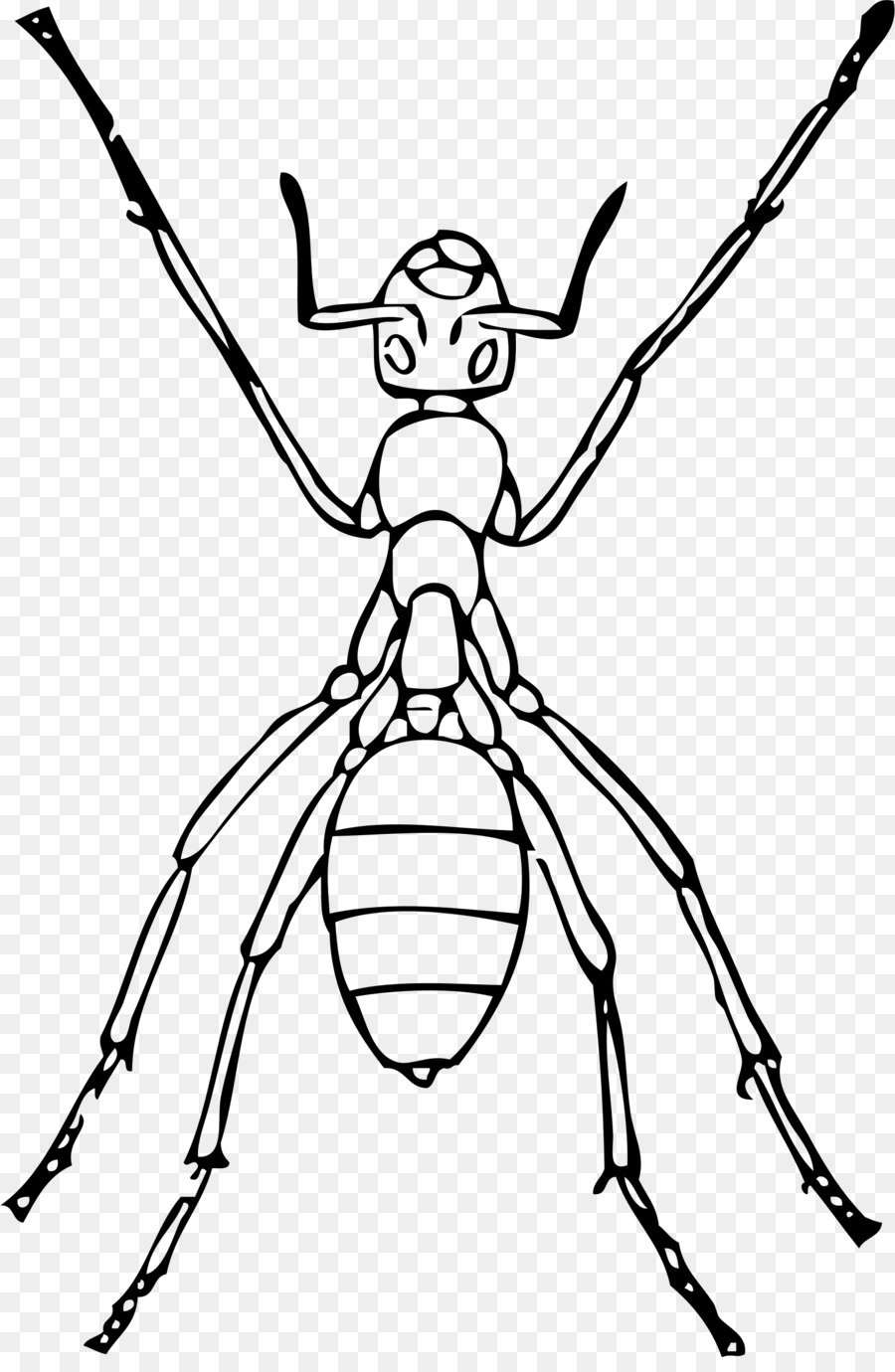 900x1380 Anteater Insect Drawing Clip Art