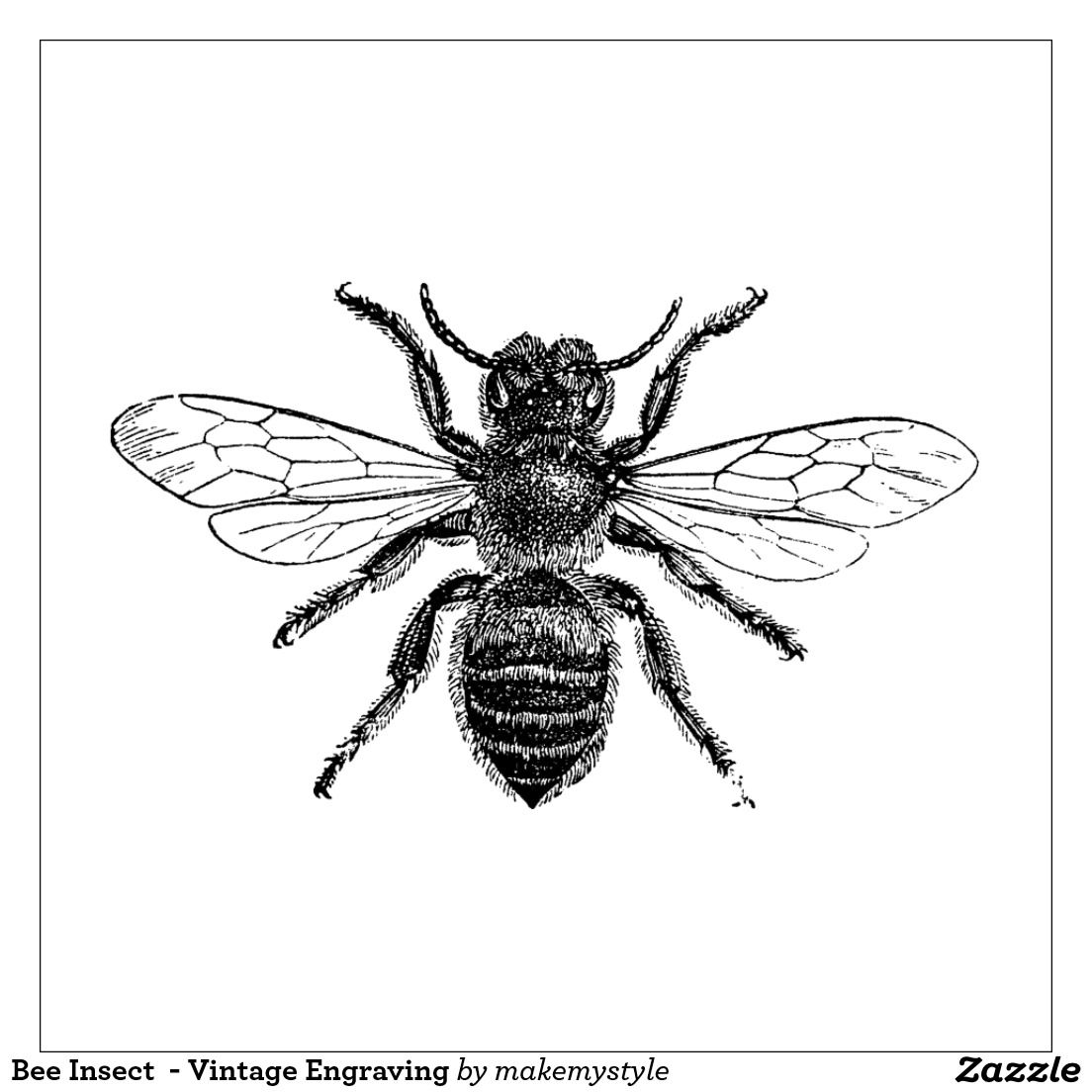 1104x1104 Largest Drawings Of Insects Vintage Insect Prints Bee Google