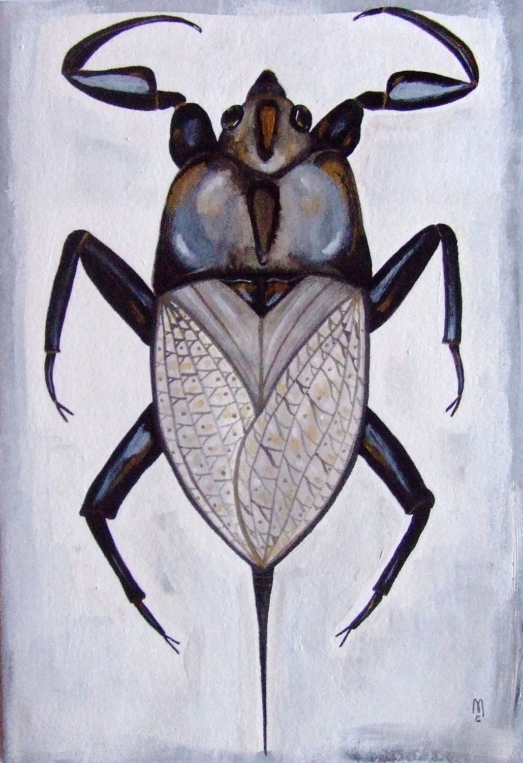 1029x1500 Bug Insect Animal Nature Original Drawing Acrylic Painting