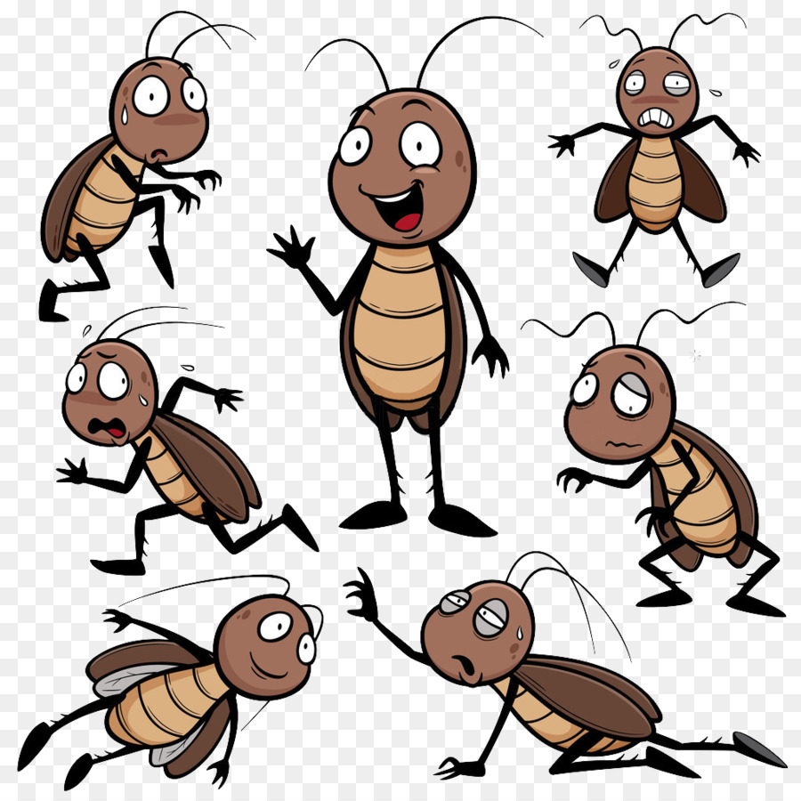 900x900 Cockroach Cartoon Drawing Clip Art