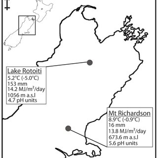 320x320 Overall Pattern Scale Species Influence On The Composition