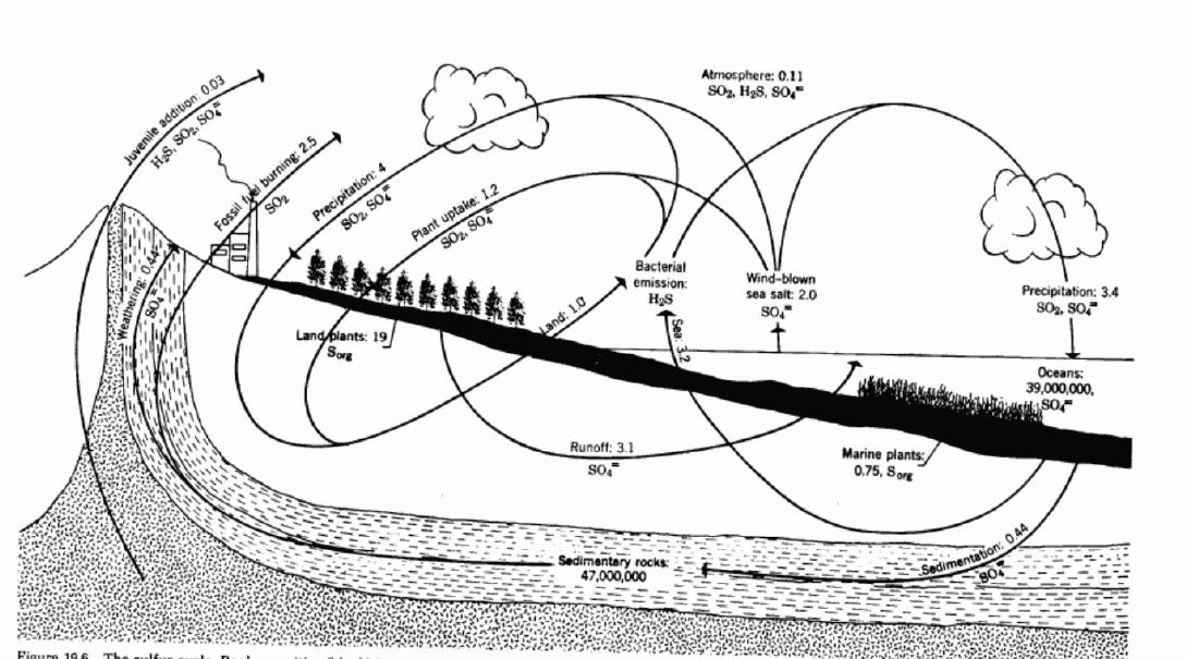 1089x605 Urbanization And The Environment