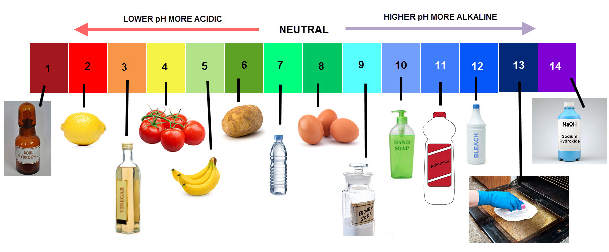 Ph Scale Drawing at GetDrawings | Free download