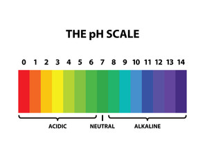 Ph Scale Drawing at GetDrawings | Free download