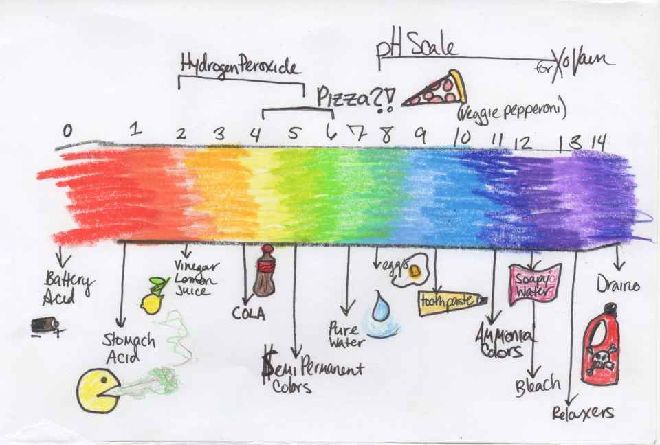 960x648 The Ph Scale, As Illustrated By Me, Including Pizza And Burps