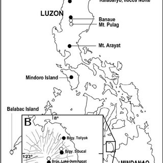 320x320 A) Map The Philippines Showing Localities Where Species