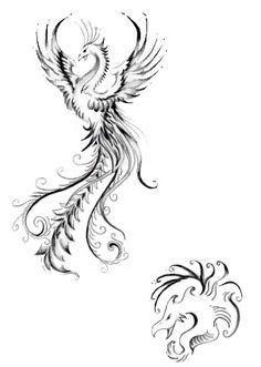 236x331 Phoenix Color Art Print By Terri Meredith Color