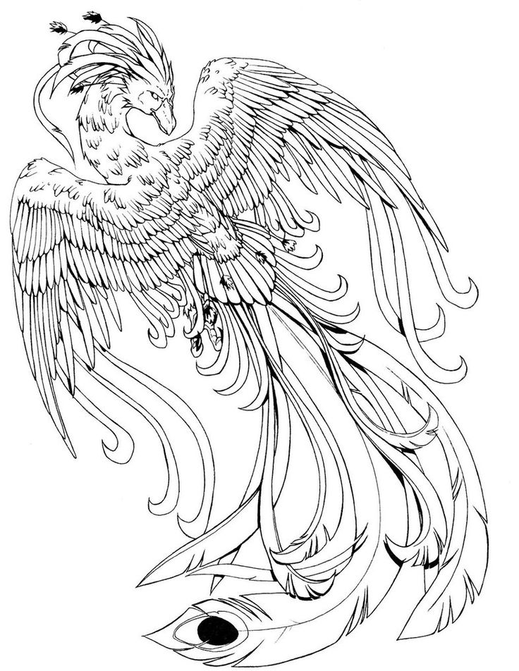 736x952 Reliable Phoenix Coloring Pages Bird