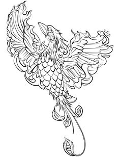 236x308 Coloring Pages Phoenix Bird Coloring Pages Phoenix Bird