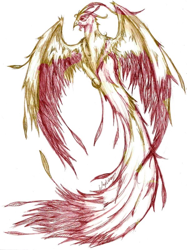 600x801 Phoenix