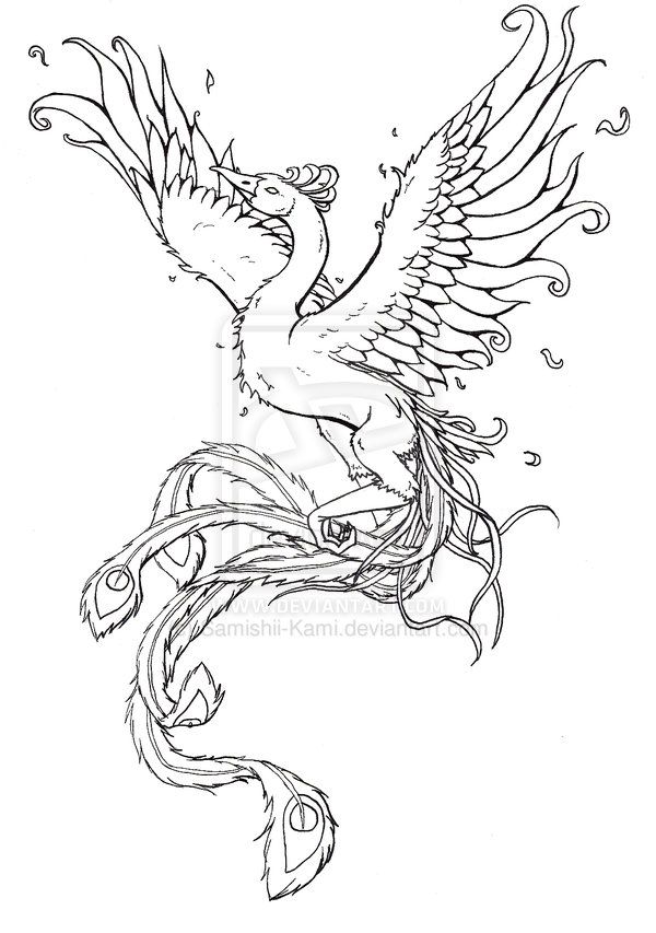 600x853 551 Best Phoenix Birds Images On Phoenix Tattoos