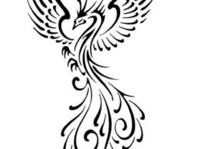 300x210 42 Cool Photos Of Phoenix Drawing Drawing Ideas