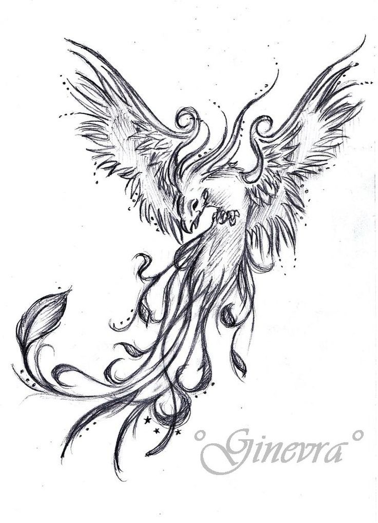 736x1019 This Will Be My Phoenix Tattoo!!!!! Full Color W The Japanese