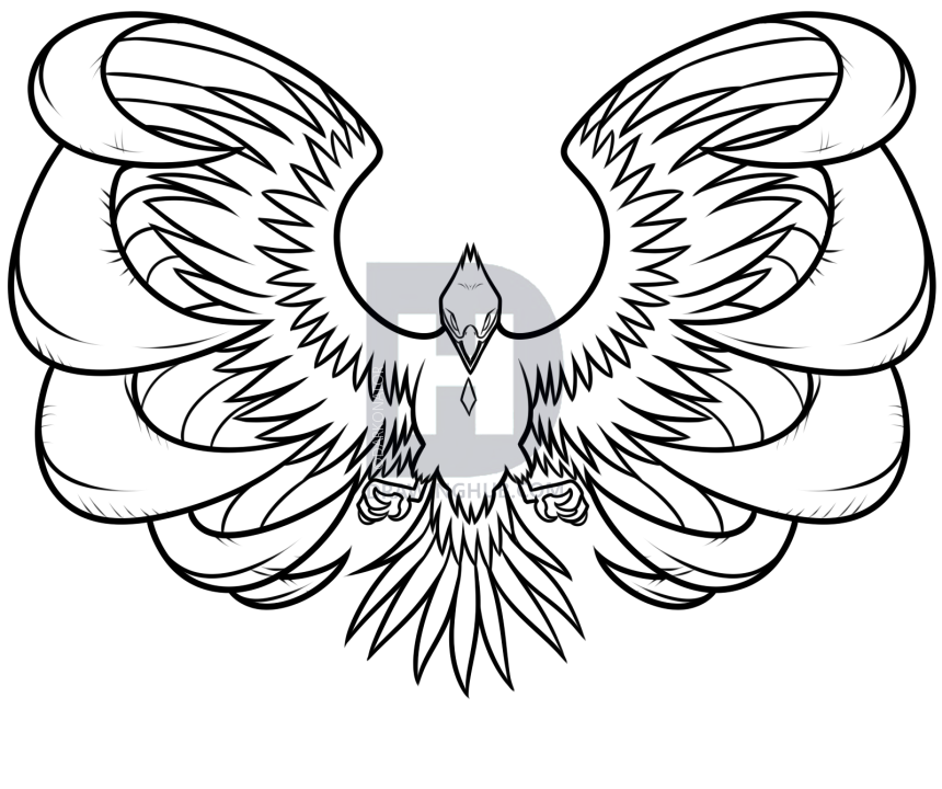 860x720 Drawing A Phoenix Step By Step, Step By Step, Drawing Guide, By