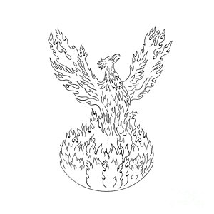 300x300 Phoenix Rising Art