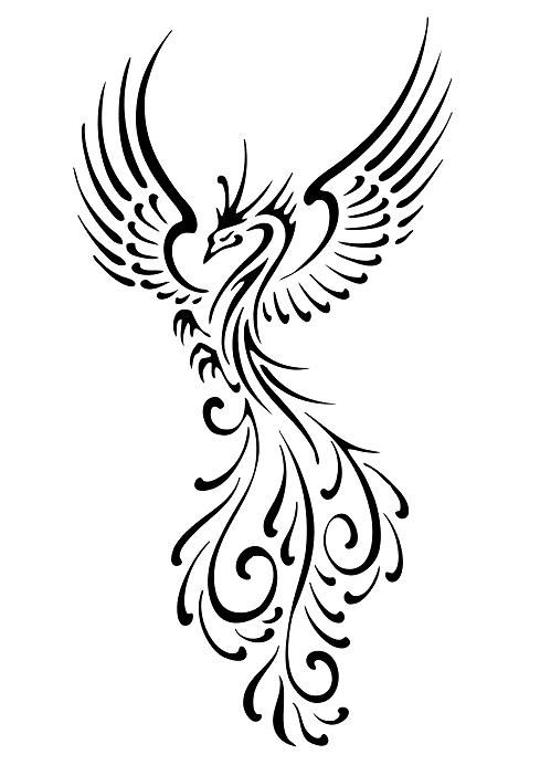 489x692 Drawing Of The Phoenix Bird If Looks Could Quill Flourish