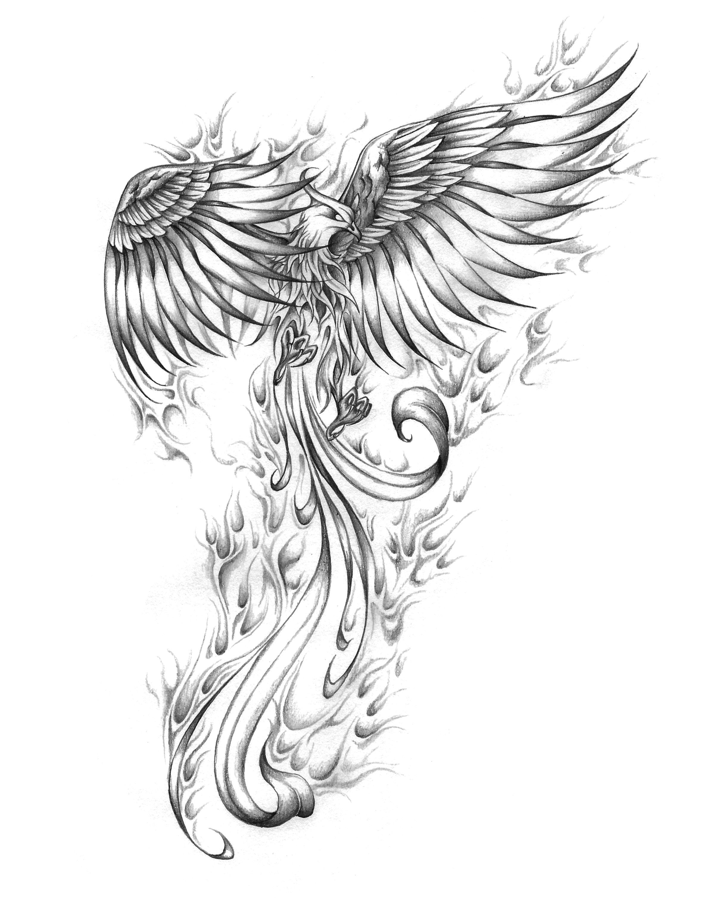 Phoenix Rising From The Ashes Drawing at GetDrawings | Free download