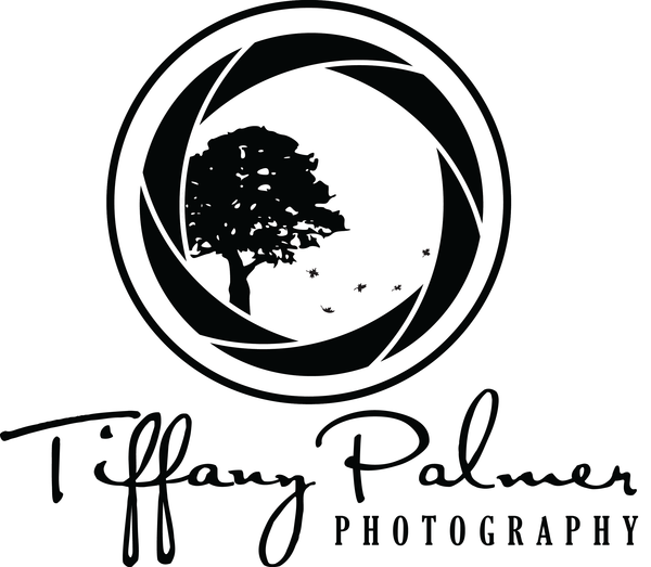 600x523 Photography Logo
