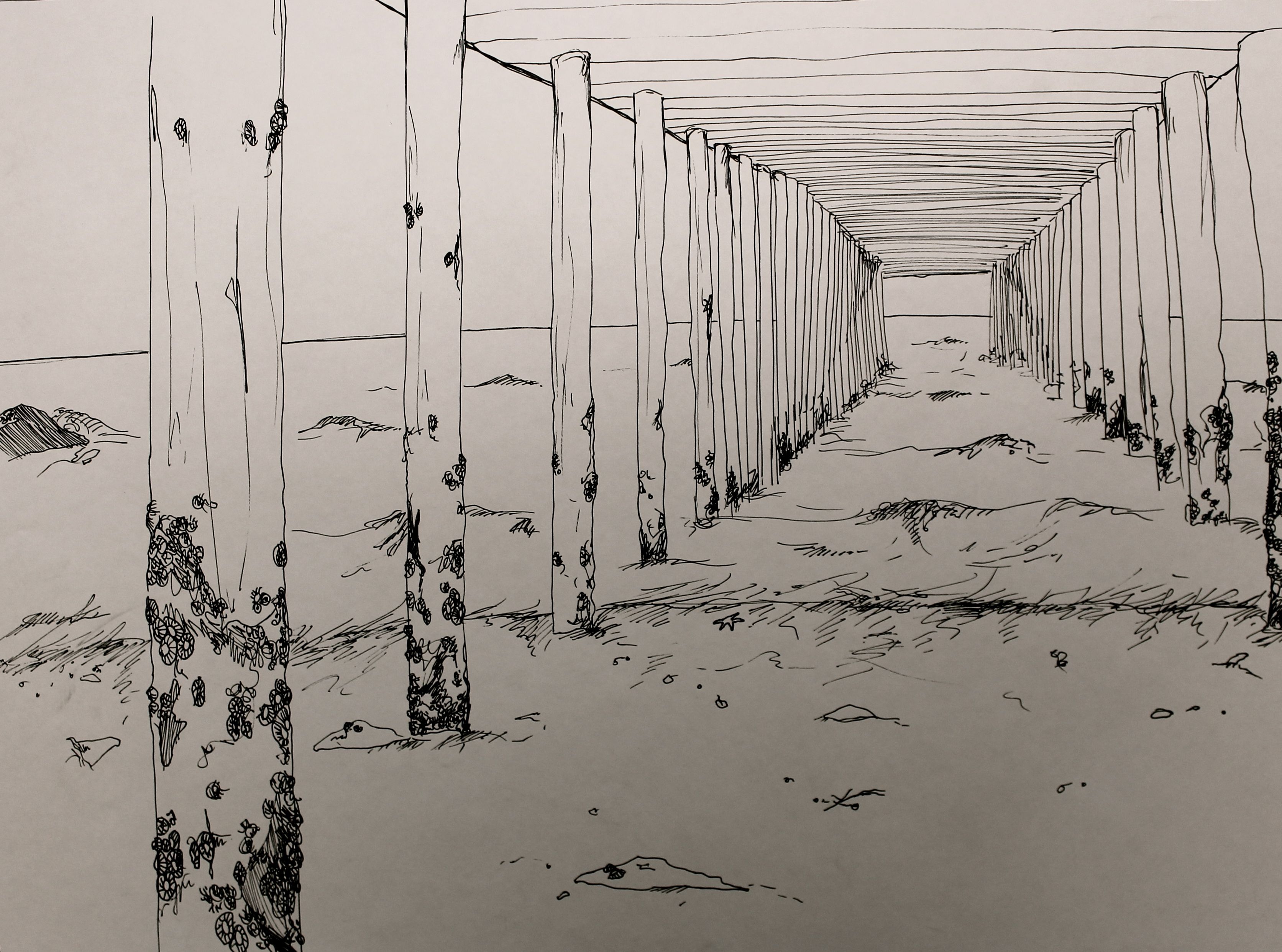 3345x2484 Sharpie Drawing, Under The Pier, Pismo Beach, California Art