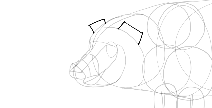 850x435 How To Draw A Pig Www 101