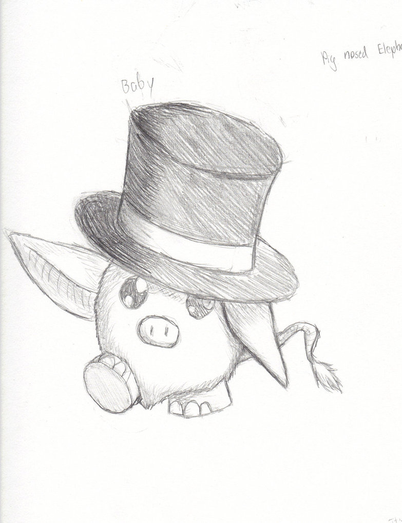 783x1020 Baby Pig Nose Elephant Bat By Ghostfantasyfreak
