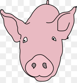 260x280 Pig Nose Png And Psd Free Download