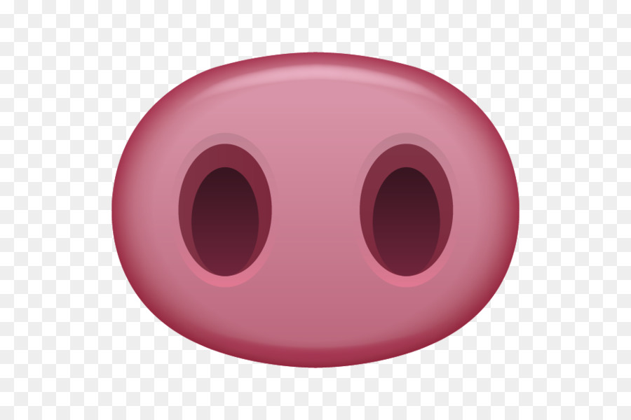 900x600 Pig Potenza Nose Snout Drawing